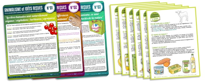 Fiches comment remplacer présentation - frise