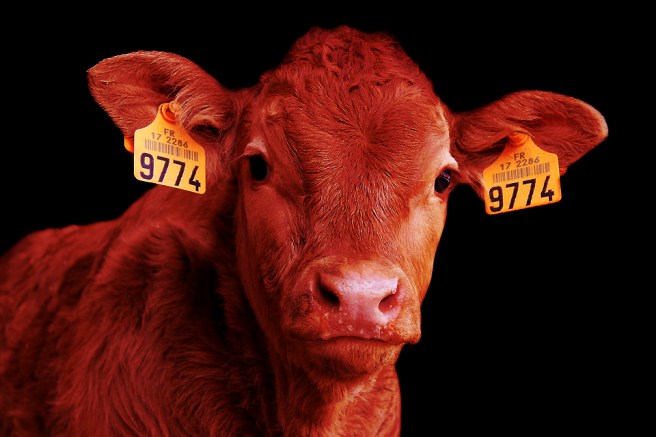 Photo d'illustration