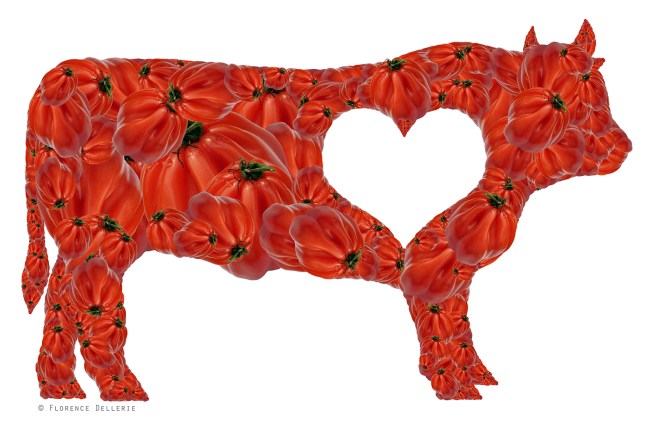 veganisme_regime-sans_derive_sectaire_florence_dellerie