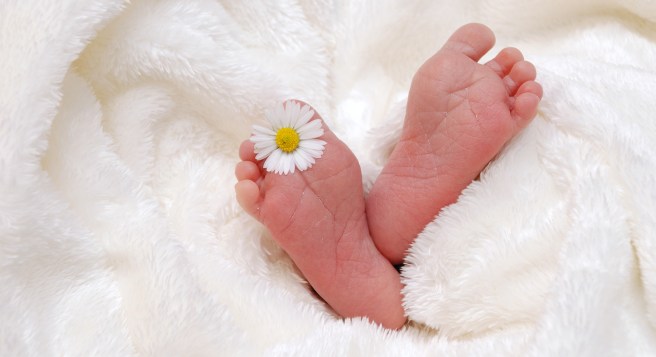 bebe_vegane_medias_florence_dellerie