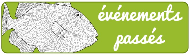 image_banniere_evenements_passes_florence_dellerie