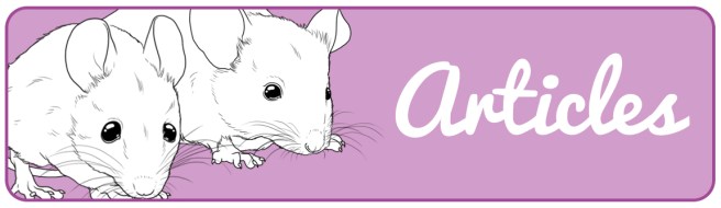 image_banniere_articles_florence_dellerie