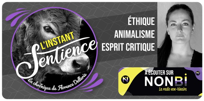 image_chronique_sentience_nonbi-radio_florence_dellerie