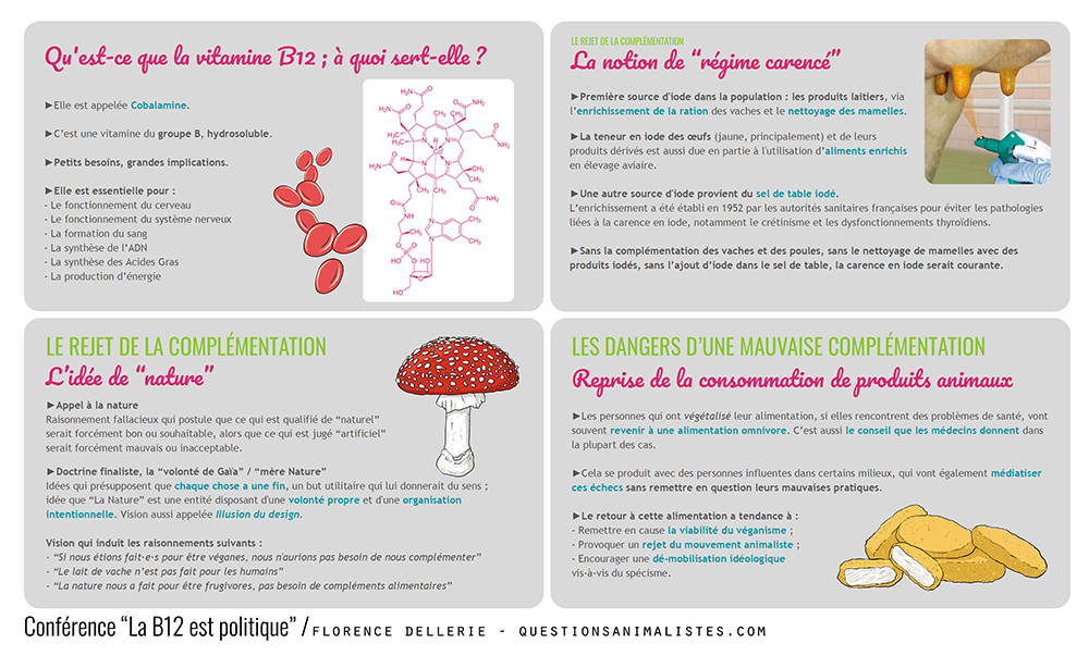 image_conference_vitamine_b12_florence_dellerie