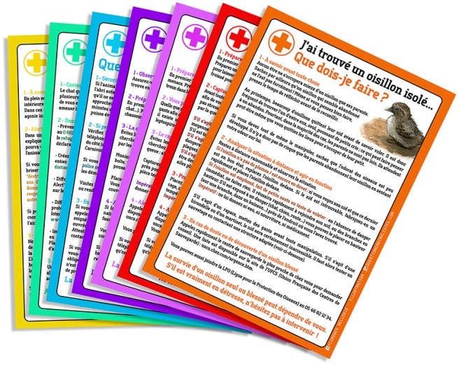 image_fiche_info_urgence_vegan_florence_dellerie