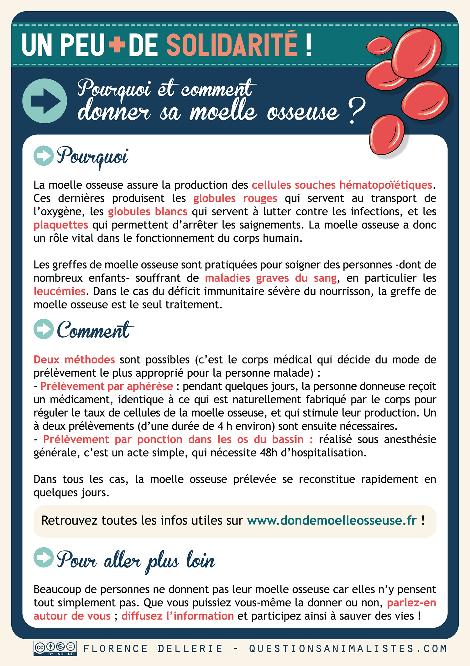 image_fiche_solidarite_don_moelle_osseuse_florence_dellerie