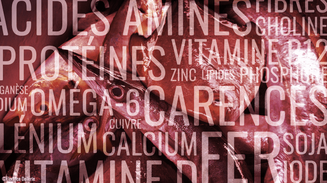 image_nutrition_animalisme_florence_dellerie