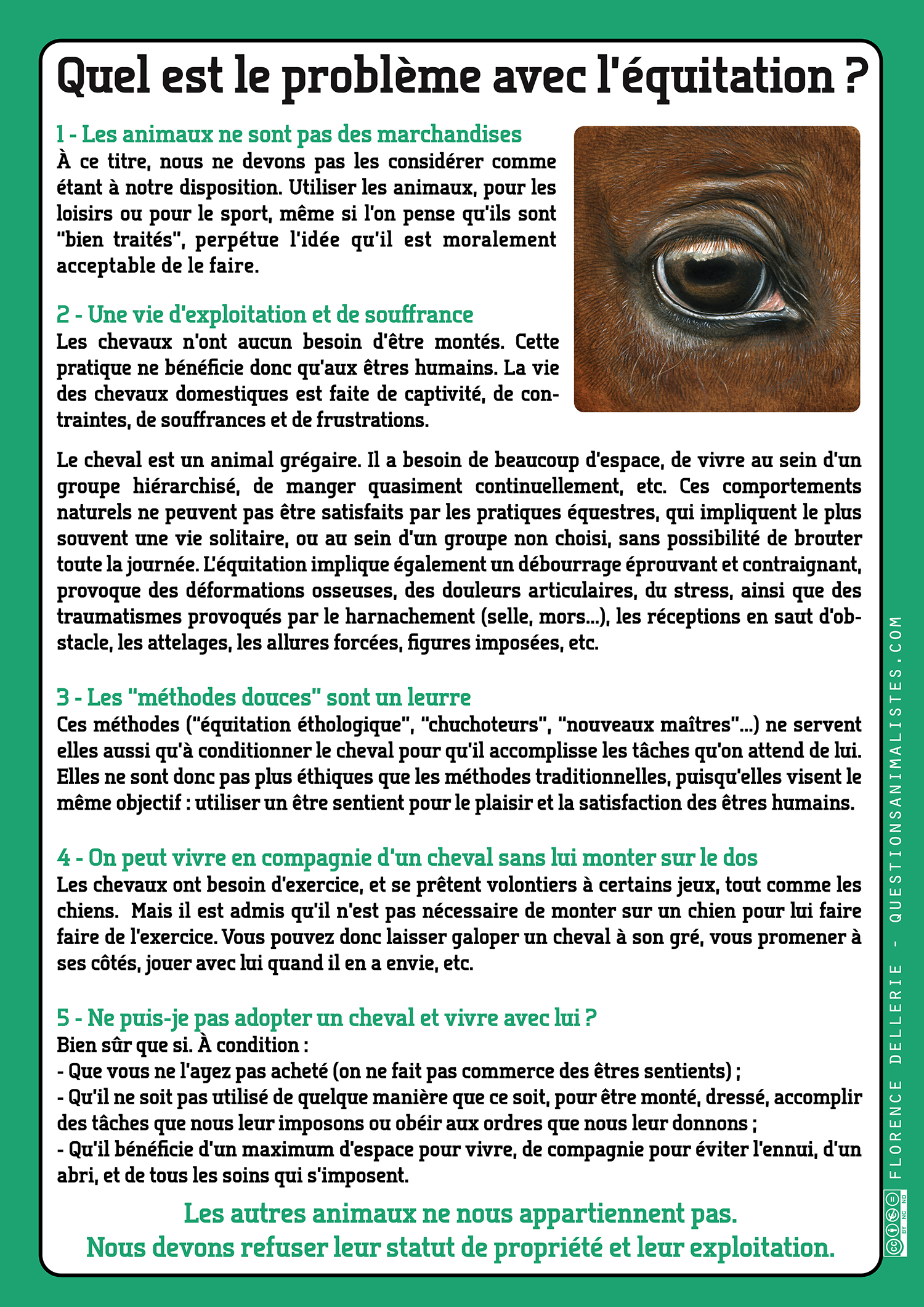 image_vegan_equitation_chevaux_dellerie