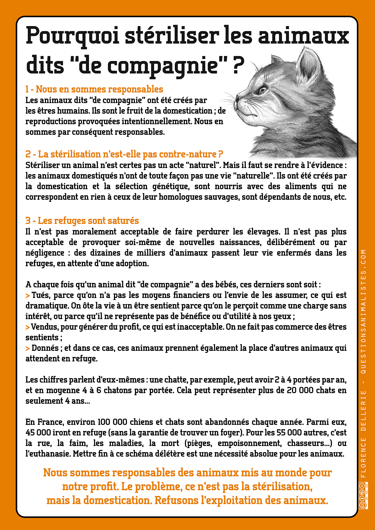 image_vegan_sterilisation_animaux_dellerie