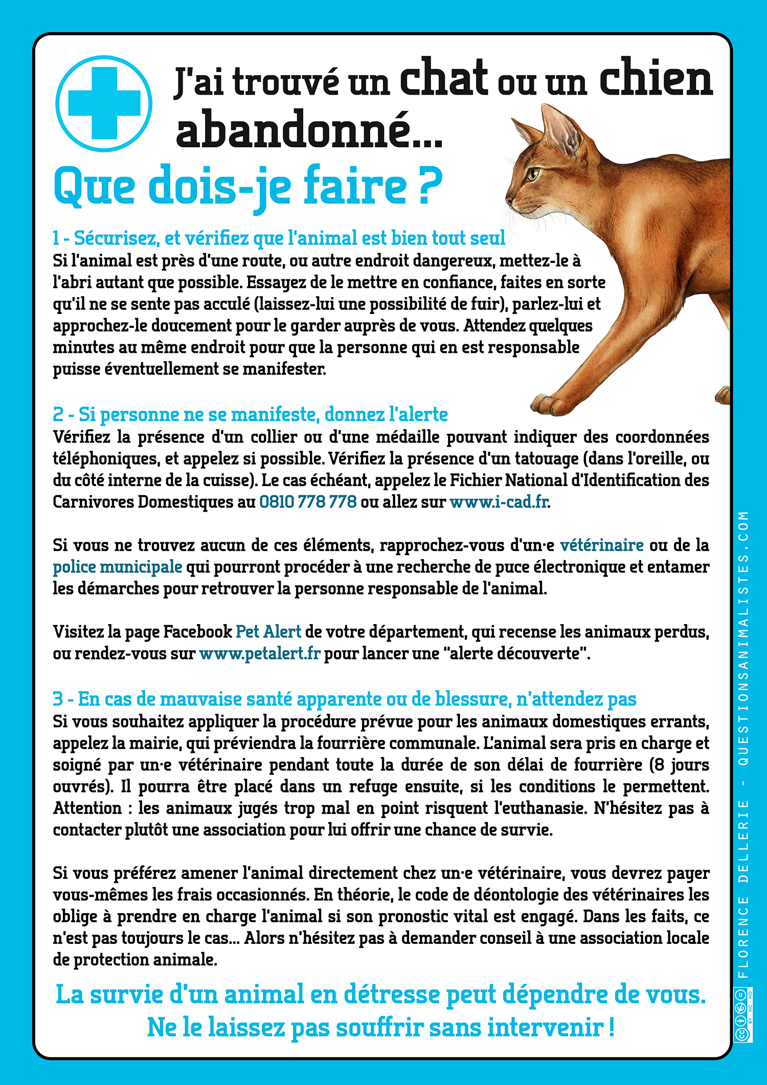 vegan_urgence_chat_chien_trouve_abandonne_dellerie