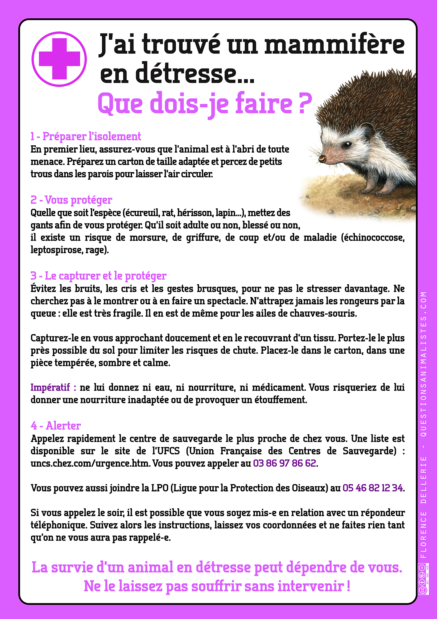 vegan_urgence_mammifere_detresse_dellerie