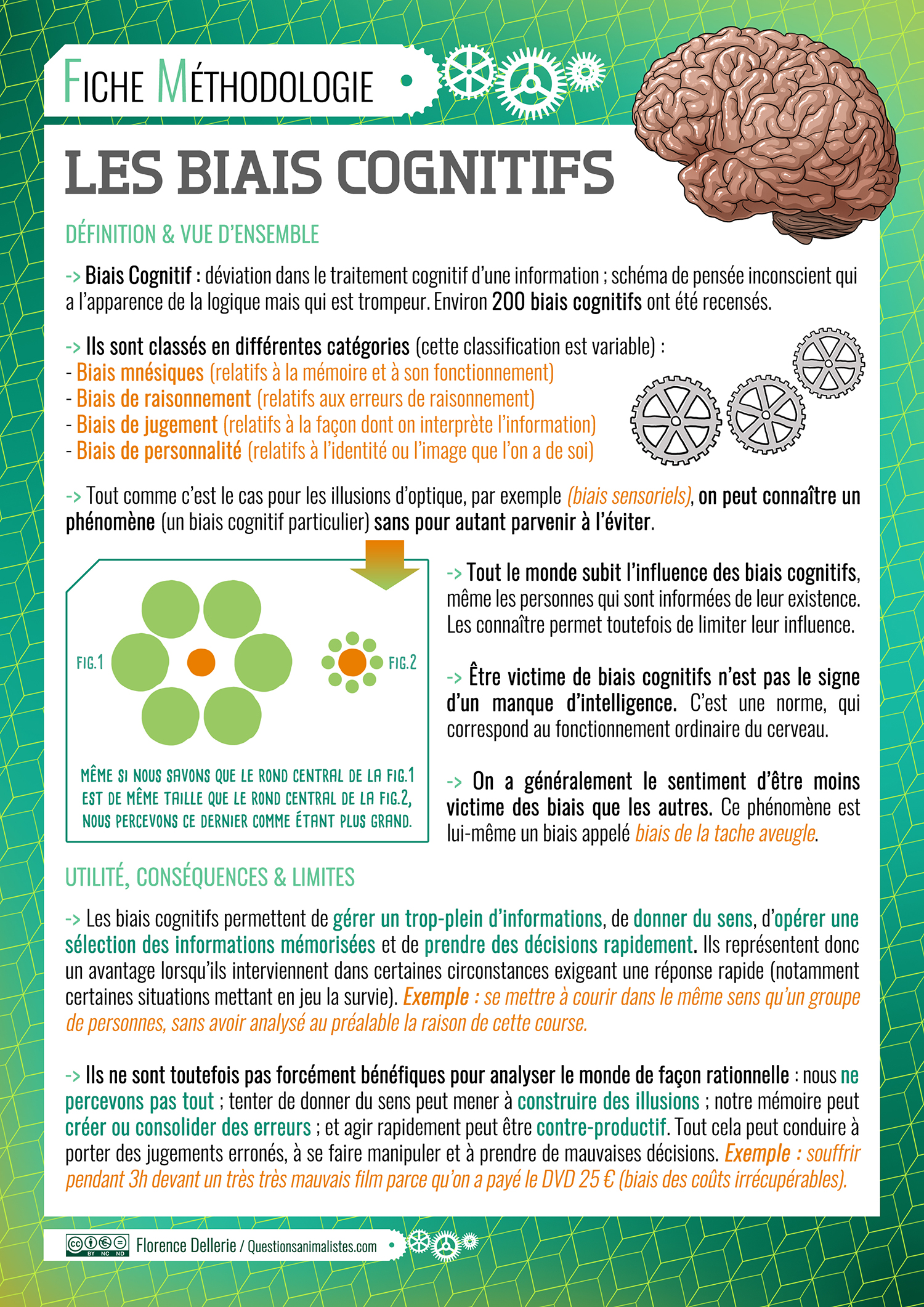 image_biais_cognitifs_methodologie_florence_dellerie