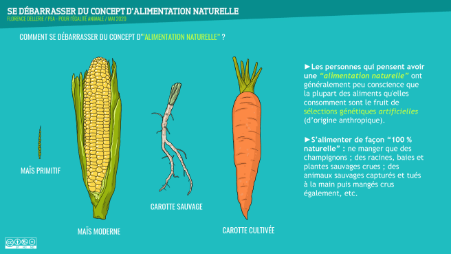 Se débarrasser du concept d'alimentation naturelle (F.Dellerie, 2020)-18