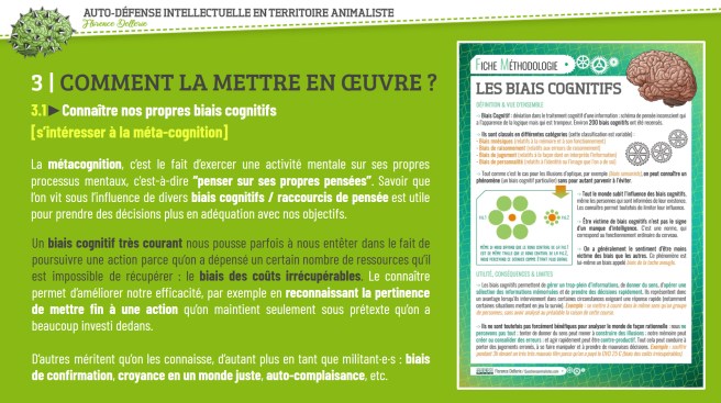 image_autodefense-intellectuelle_dellerie_exemple_1