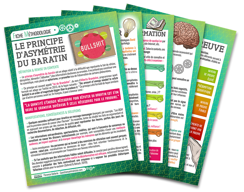 image_fiches_methodologie_esprit_critique_florence_dellerie