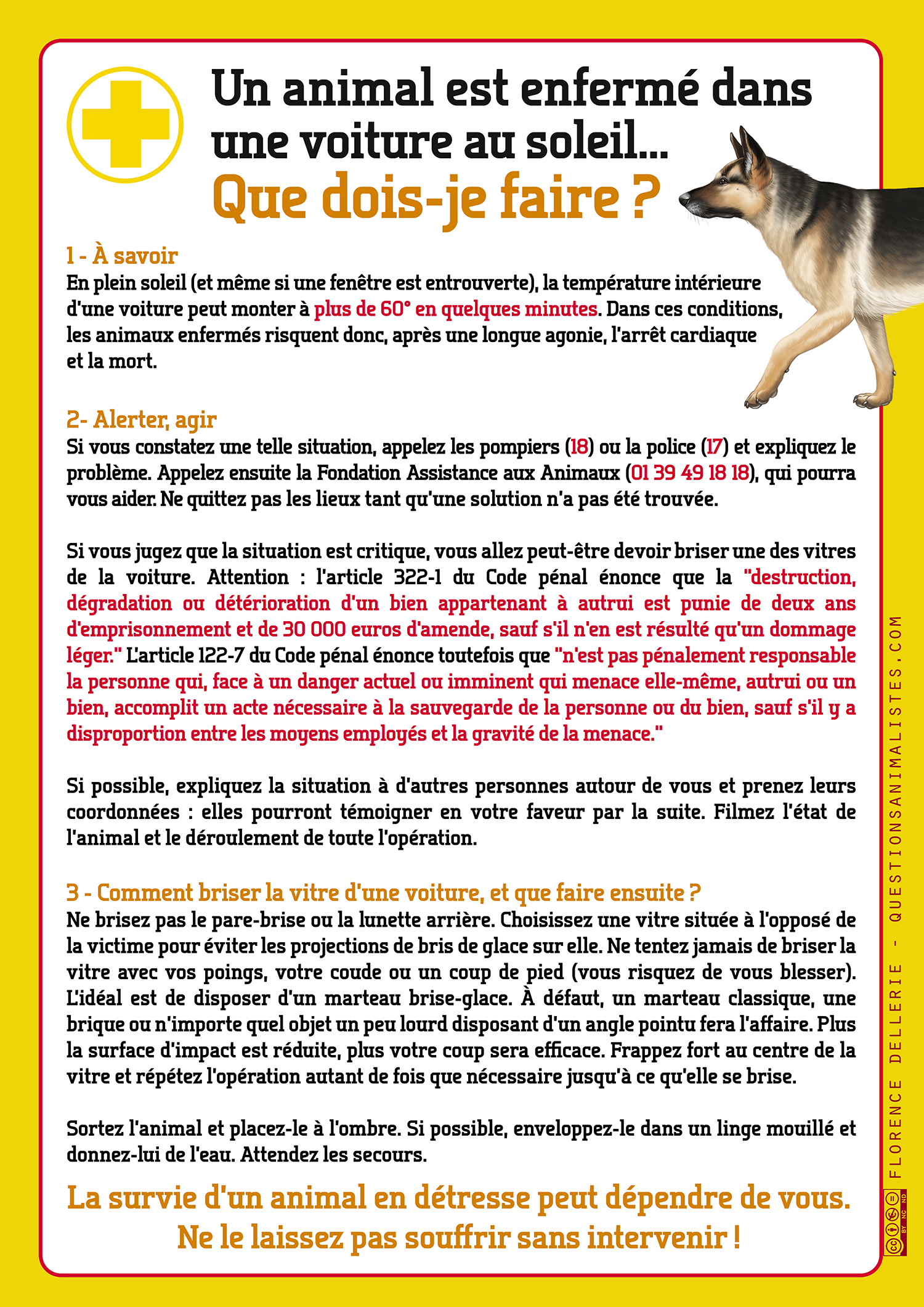 vegan_urgence_animal_voiture_soleil_florence_dellerie