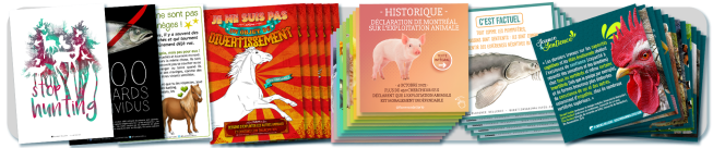 image_presentation_autres_visuels