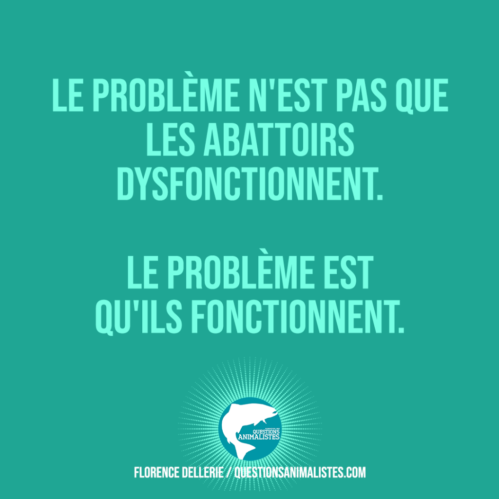 "Le problème n'est pas que les abattoirs dysfonctionnent. Le problème est qu'ils fonctionnent." Florence Dellerie / Questions Animalistes.com
