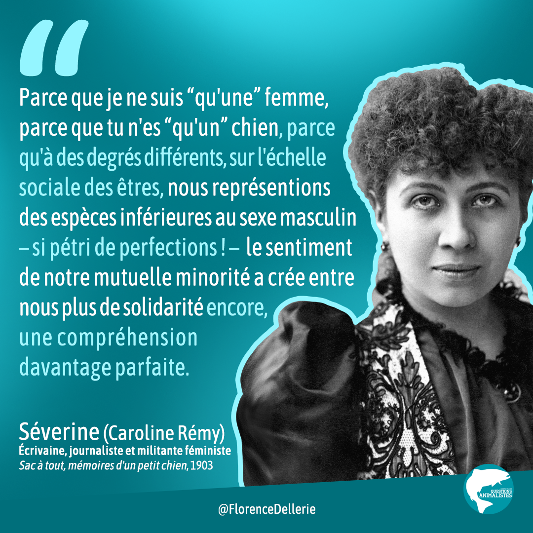 Visuel dans les tons de bleu montrant une photo en noir et blanc de Séverine. Le texte dit : « Parce que je ne suis “qu'une” femme, parce que tu n'es “qu'un” chien, parce qu'à des degrés différents, sur l'échelle sociale des êtres, nous représentions des espèces inférieures au sexe masculin – si pétri de perfections ! – le sentiment de notre mutuelle minorité a crée entre nous plus de solidarité encore, une compréhension davantage parfaite. Séverine (Caroline Rémy), Écrivaine, journaliste et militante féministe, Sac à tout, mémoires d'un petit chien, 1903 » Florence Dellerie