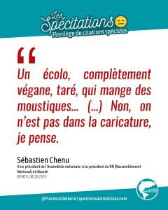 Visuel sur fond blanc avec deux bandeaux bleus en oblique (un en haut et un en bas), titré « Les Spécitations - Florilège de citations spécistes » avec un émoji consterné. Le texte de citation, écrit en noir, est le suivant : « Un écolo, complètement végane, taré, qui mange des moustiques... (...) Non, on n’est pas dans la caricature, je pense. Sébastien Chenu, Vice-président de l’Assemblée nationale, vice-président du RN (Rassemblement National) et député, BFMTV, 08.10.0025 »