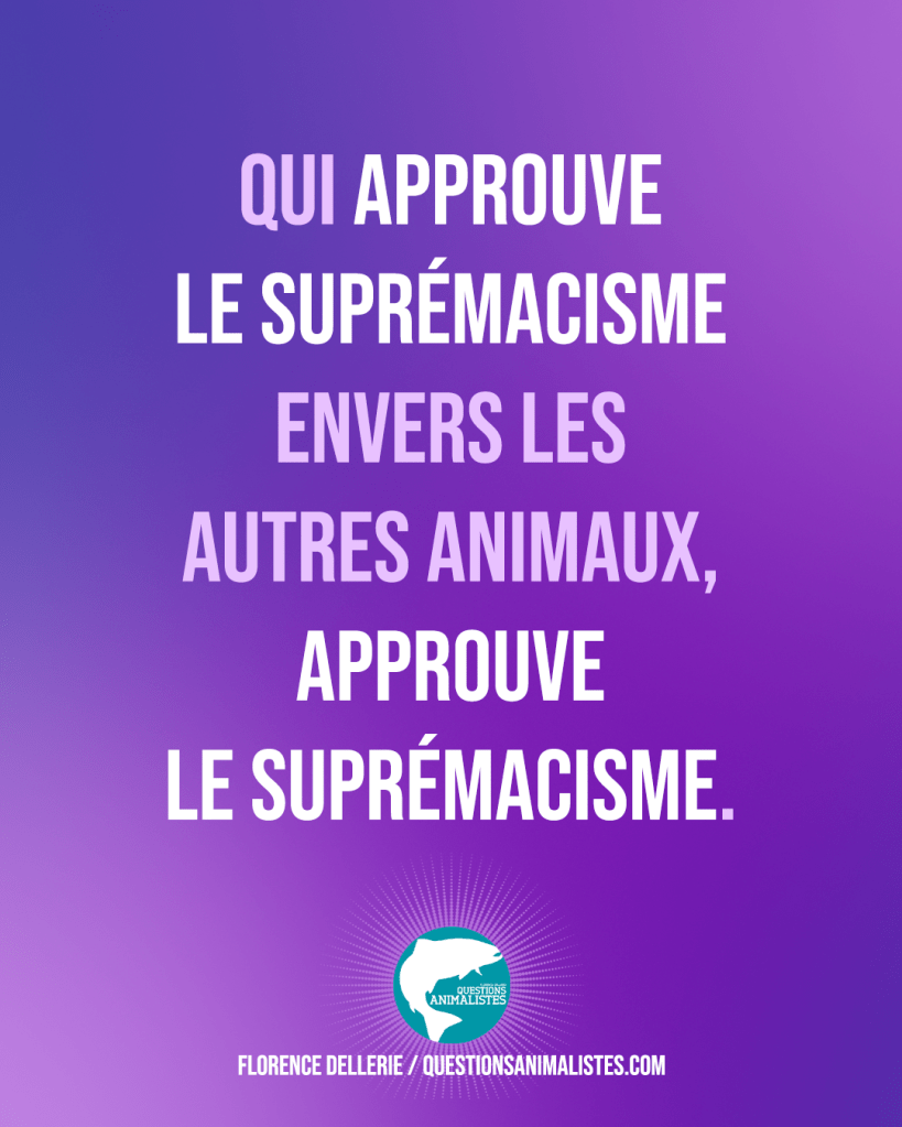 Visuel dans les tons de violet, signé Florence Dellerie, montrant le logo de Questions Animalistes et disant : "Qui approuve le suprémacisme envers les autres animaux, approuve le suprémacisme."